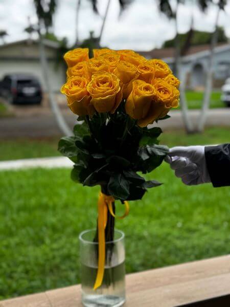 1 Dozen Yellow Roses