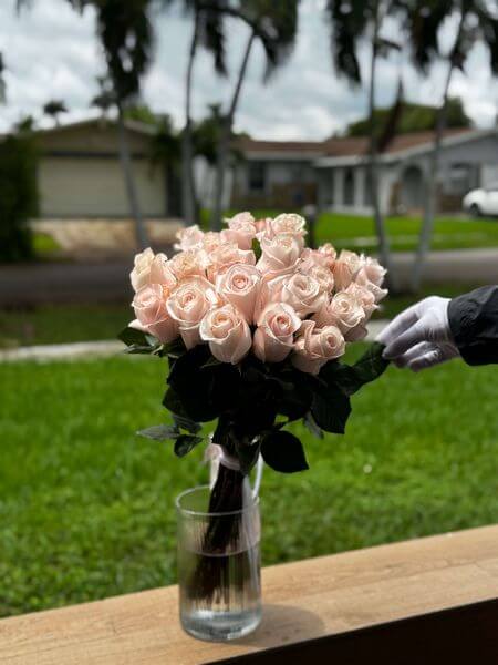 2 Dozen Pink Roses