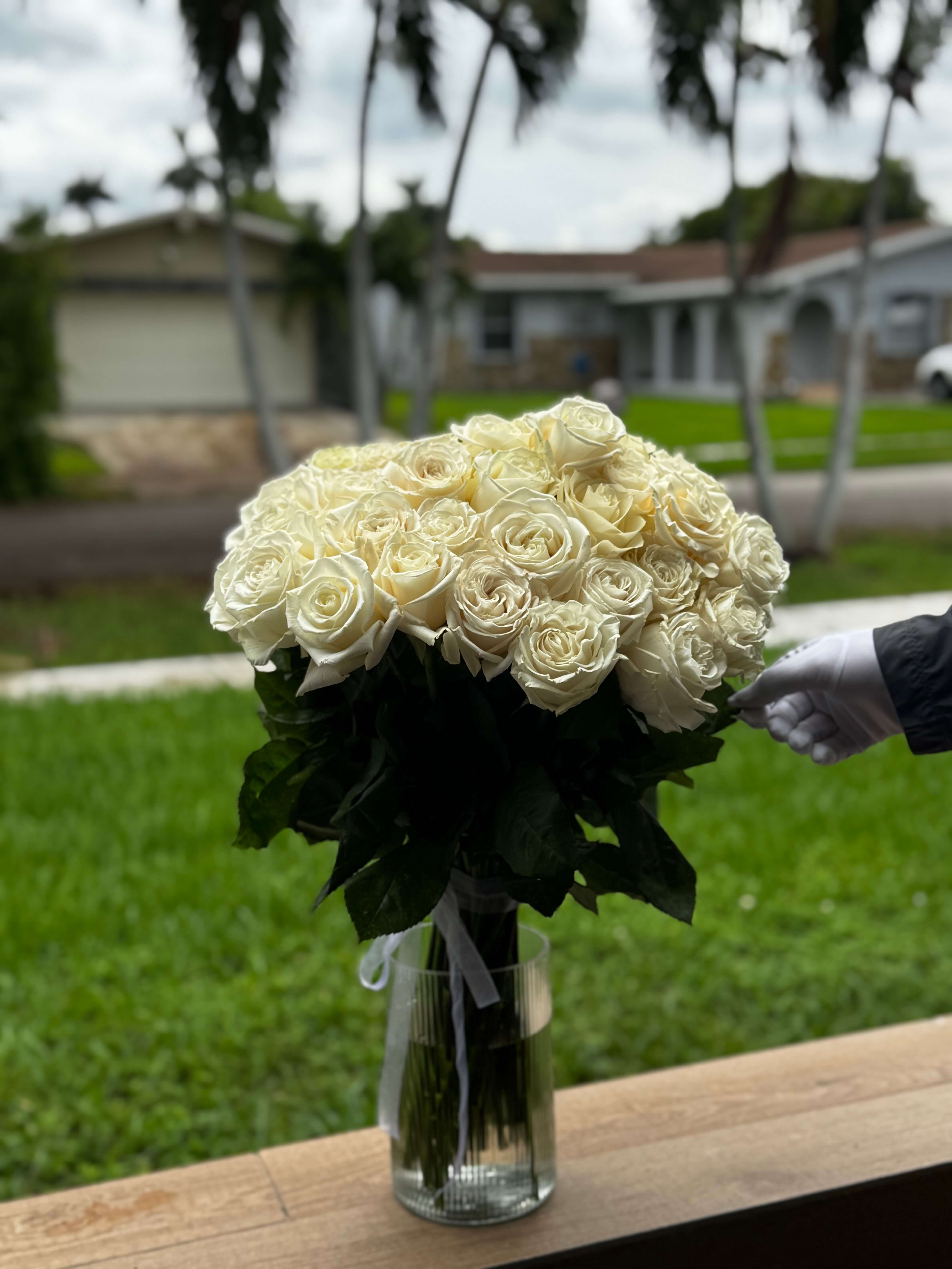 35 White Roses 