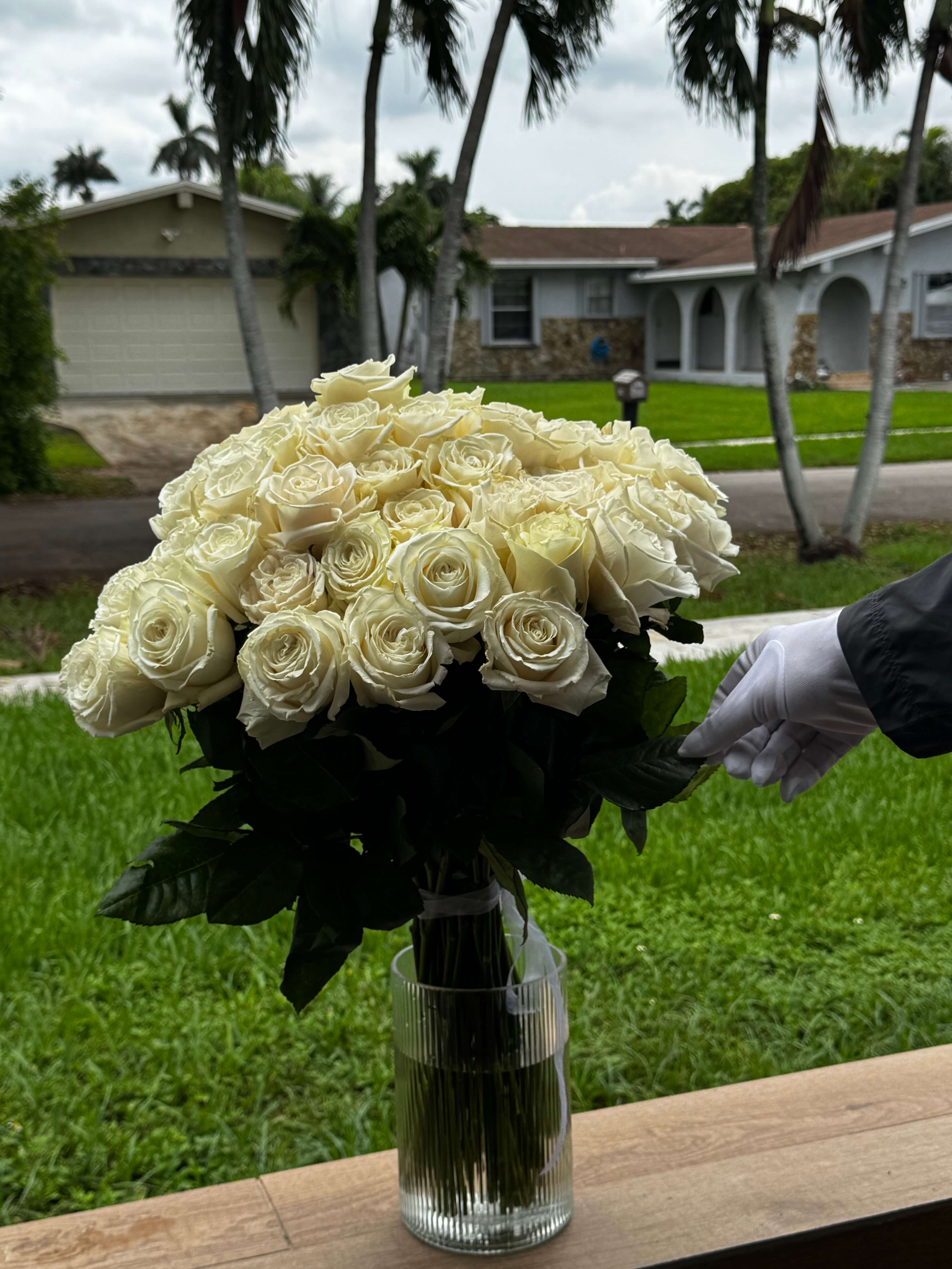 51 White Roses 