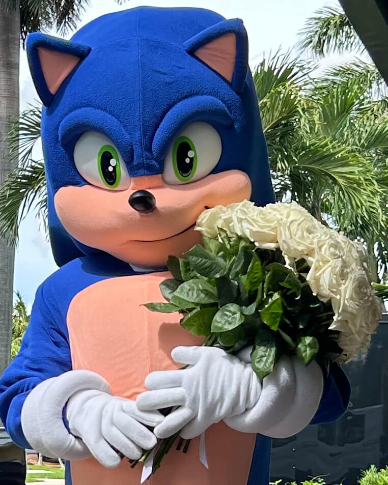 Speedy Sonic