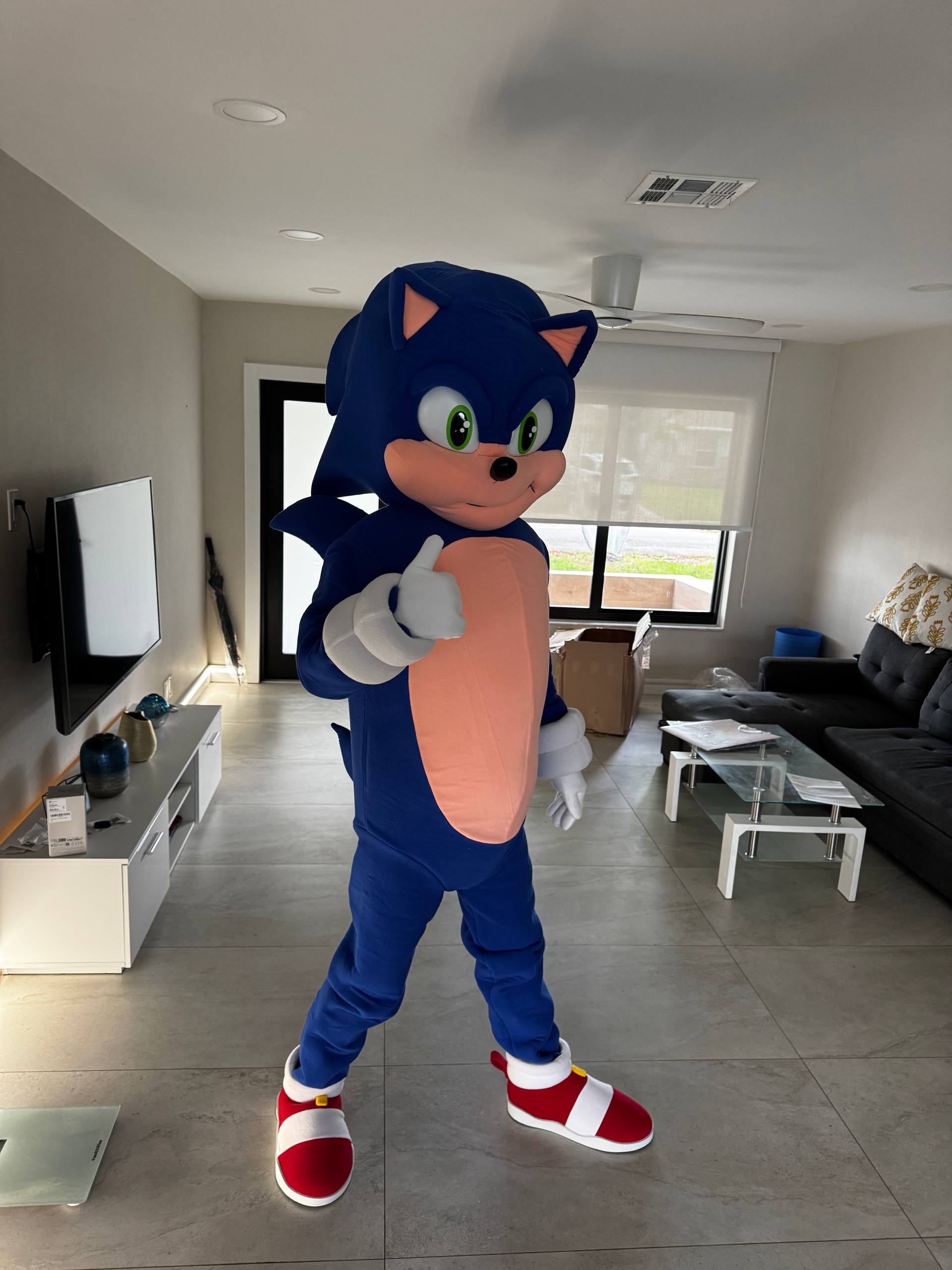 Sonic
