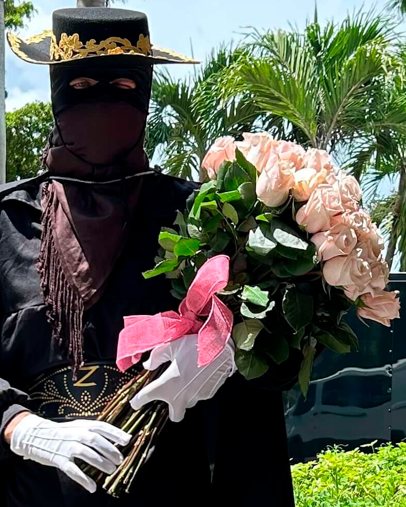 Masked Hero Zorro