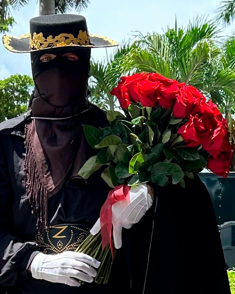 Masked Hero Zorro