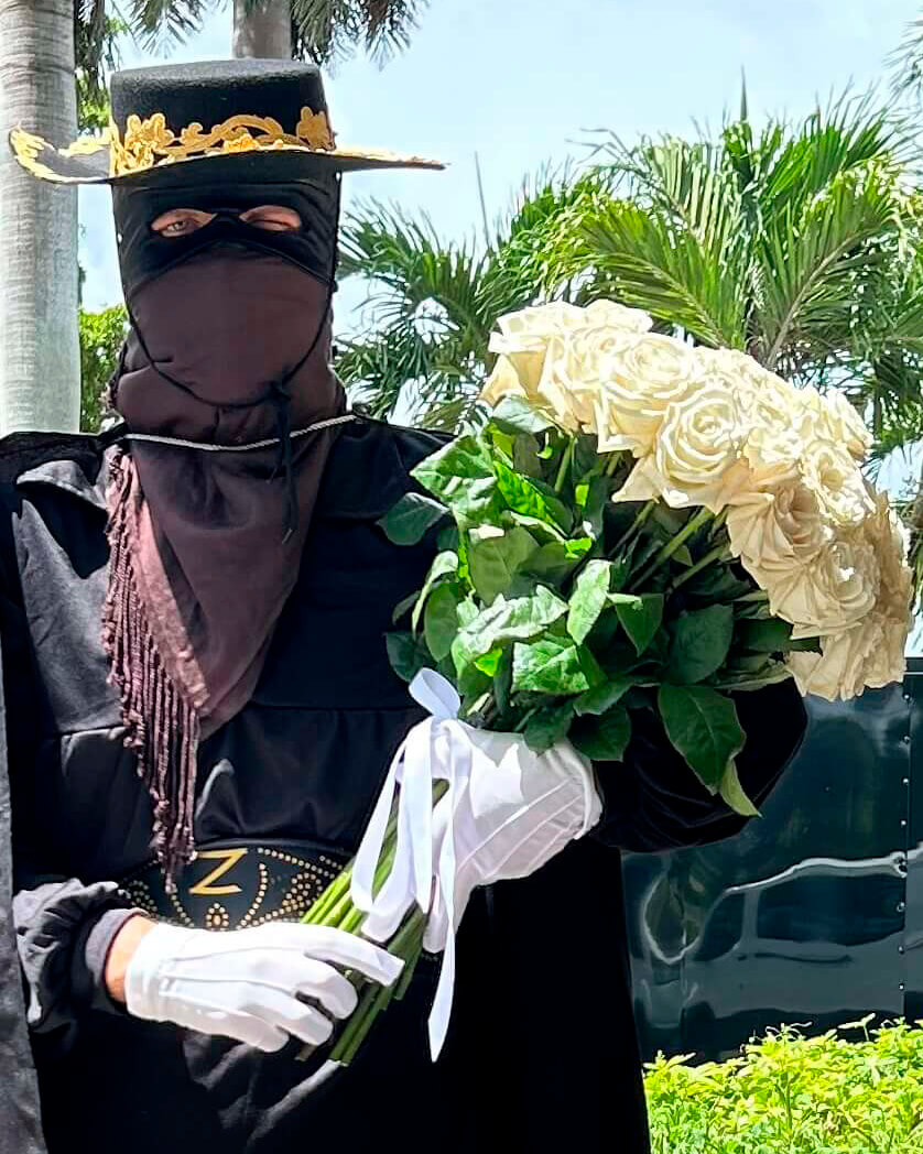Masked Hero Zorro