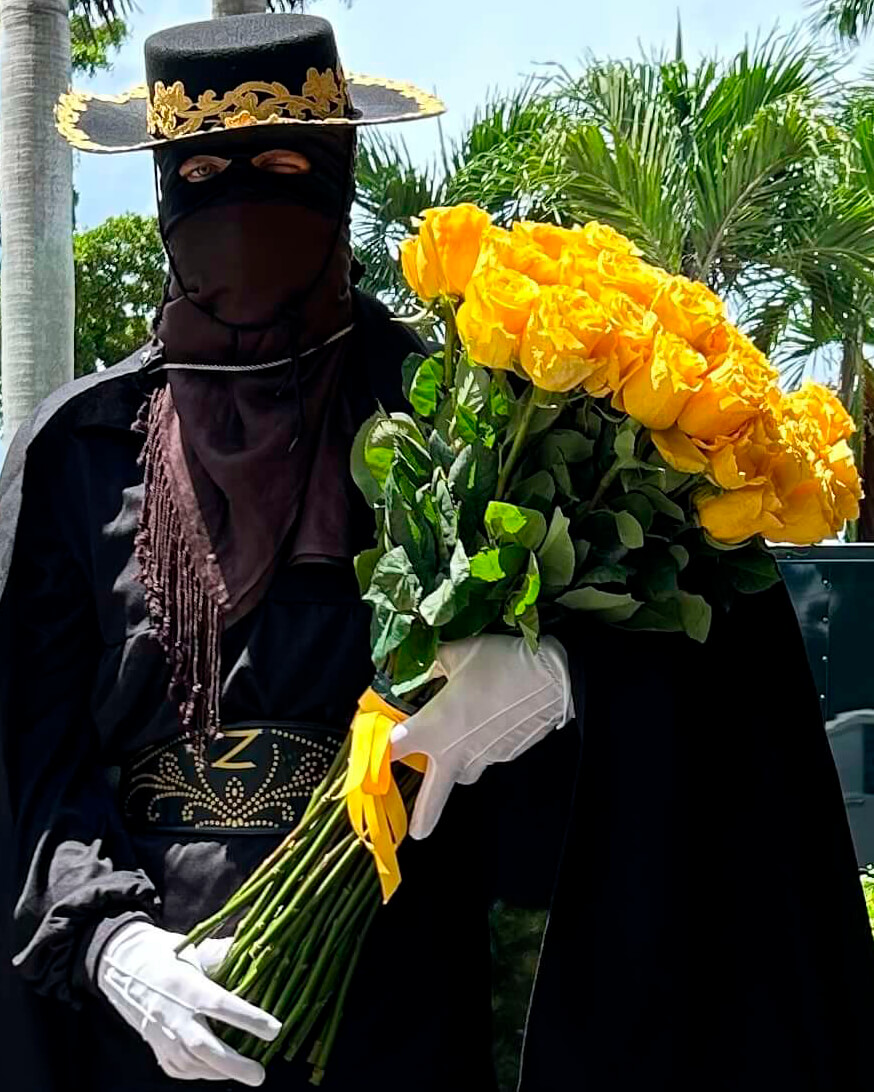 Masked Hero Zorro