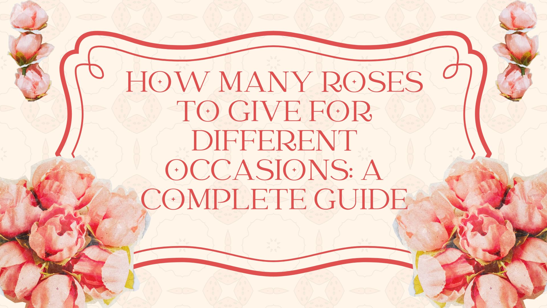 How Many Roses to Give for Different Occasions: A Complete Guide